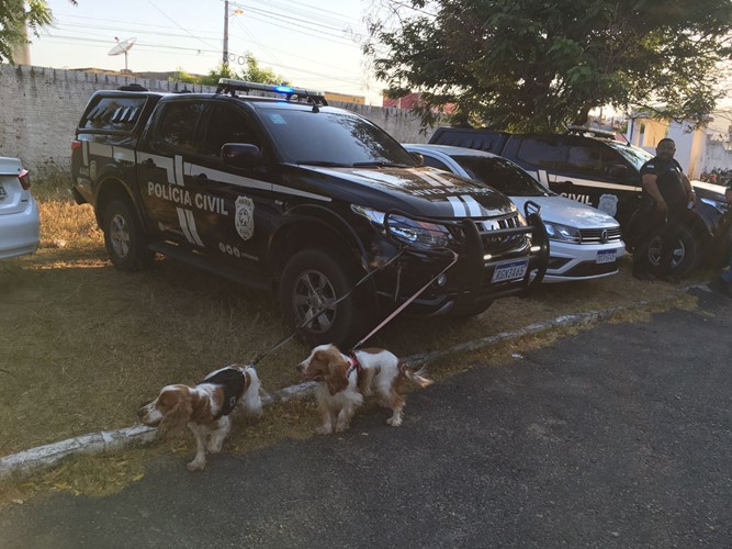 Polícia Civil realiza operação “Na rota do tráfico” visando ao combate ao tráfico de drogas na região de Patu” 