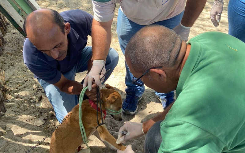 Agentes de Endemias participam de capacitação sobre prevenção e controle da Leishmaniose