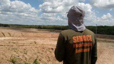 Concurso com vagas na área ambiental é aberto no Ceará