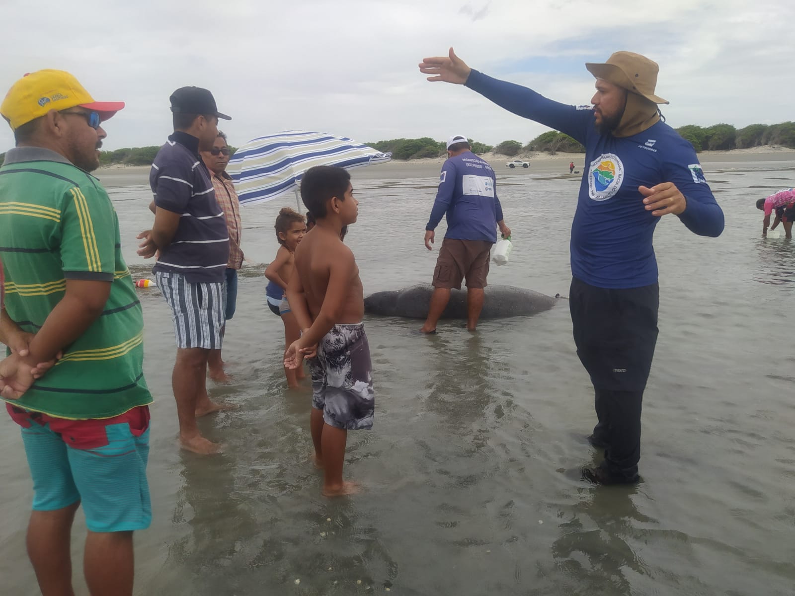 Peixe-boi em processo de reabilitação encalha na praia de Alagamar, em Grossos