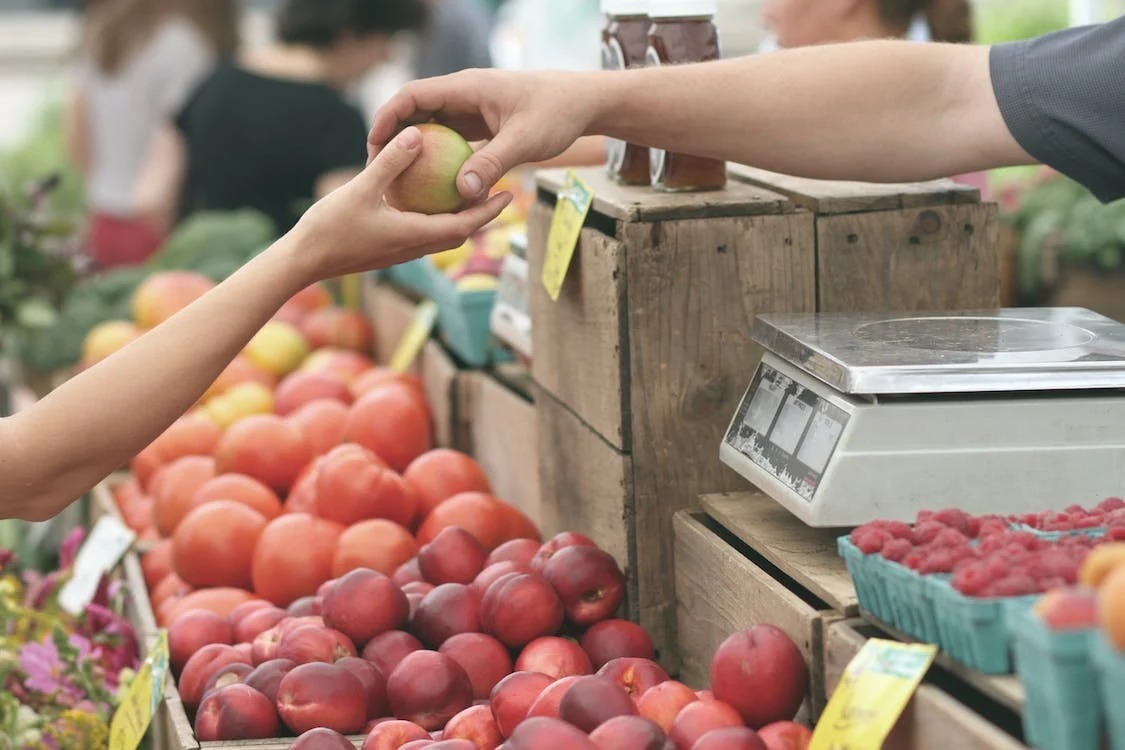 Secretaria de Agricultura de Tibau organiza evento para agricultores locais