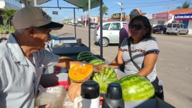 Feira de produtos orgânicos acontecerá todos os domingos em Tibau