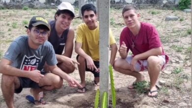 Escola Estadual Coronel Solon se destaca com projeto inovador de plantação de pitayas