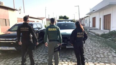 PF e IBAMA combatem caça ilegal de animais silvestres no interior do RN