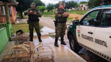 Polícia Ambiental apreende aves silvestres em Baraúna