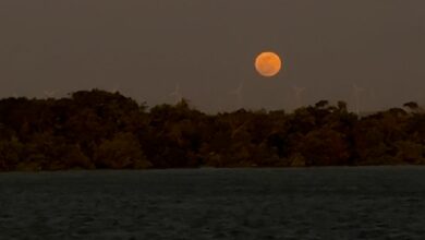 Superlua e eclipse parcial acontecem juntos nesta terça (17); saiba mais