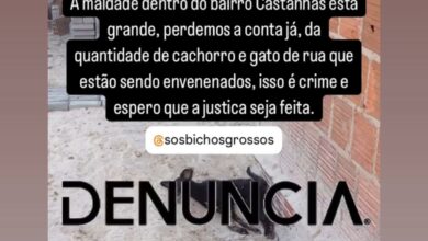 Envenenamento de cães e gatos preocupa moradores do Conjunto Castanhas, em Grossos