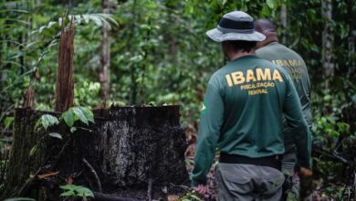 Concurso do Ibama terá 460 vagas com salários de R$ 9,9 mil