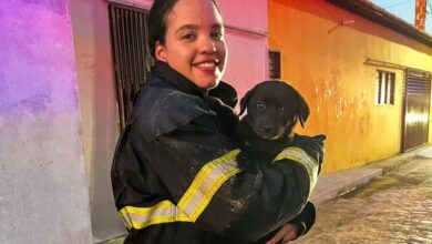 Bombeiros do RN resgatam filhote de cachorro durante incêndio residencial em Tibau